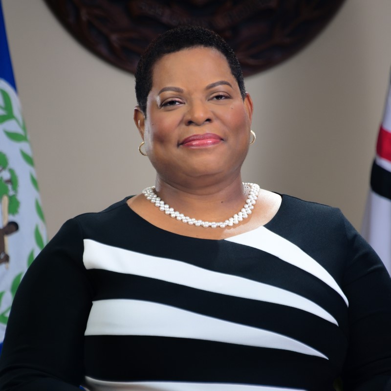 DG Solis 2