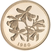 Golden Orchid (front)