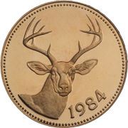 White Tail Deer (front)